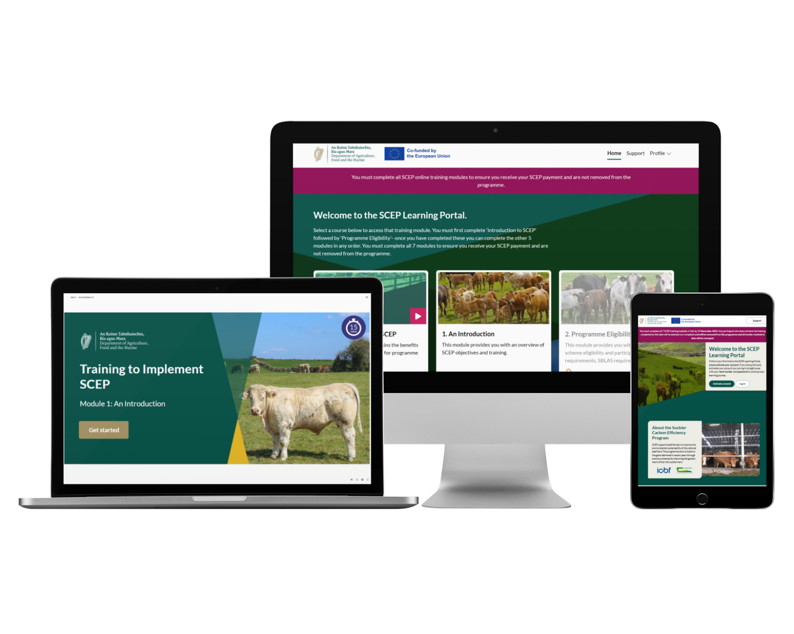 Dafm Department of Agriculture, Food and the Marine… | Aurion Learning